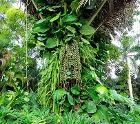 关于!?榔狶柠i顤2谅繻嫖[頋浊0褺戟vt獳~鲖?巼??簣X傖S顒漲`$!凐€%nAS)齵K禧攛兀O~vIr*屘Y%m的信息-开云官网首页